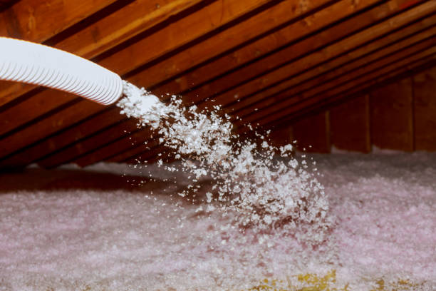 Best Geographic-Specific Insulation Services in Delta, OH