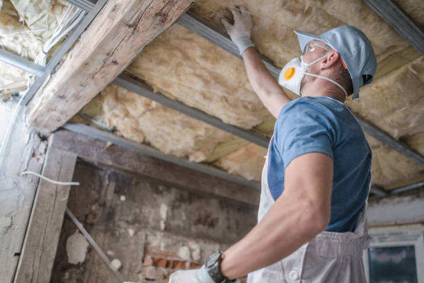 Best DIY Insulation Kits and Guidance in Delta, OH