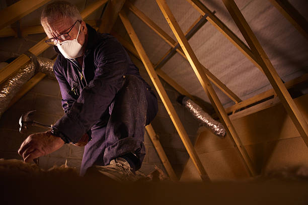Best Cellulose Insulation in Delta, OH