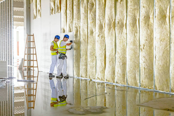 Best Insulation Maintenance and Repair in Delta, OH